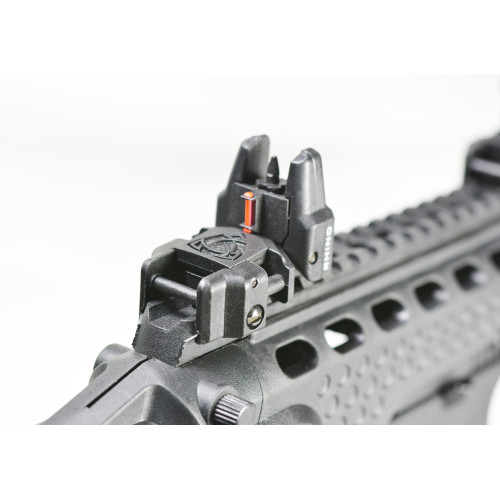Black Hornet Plus Caribe Conversion kit